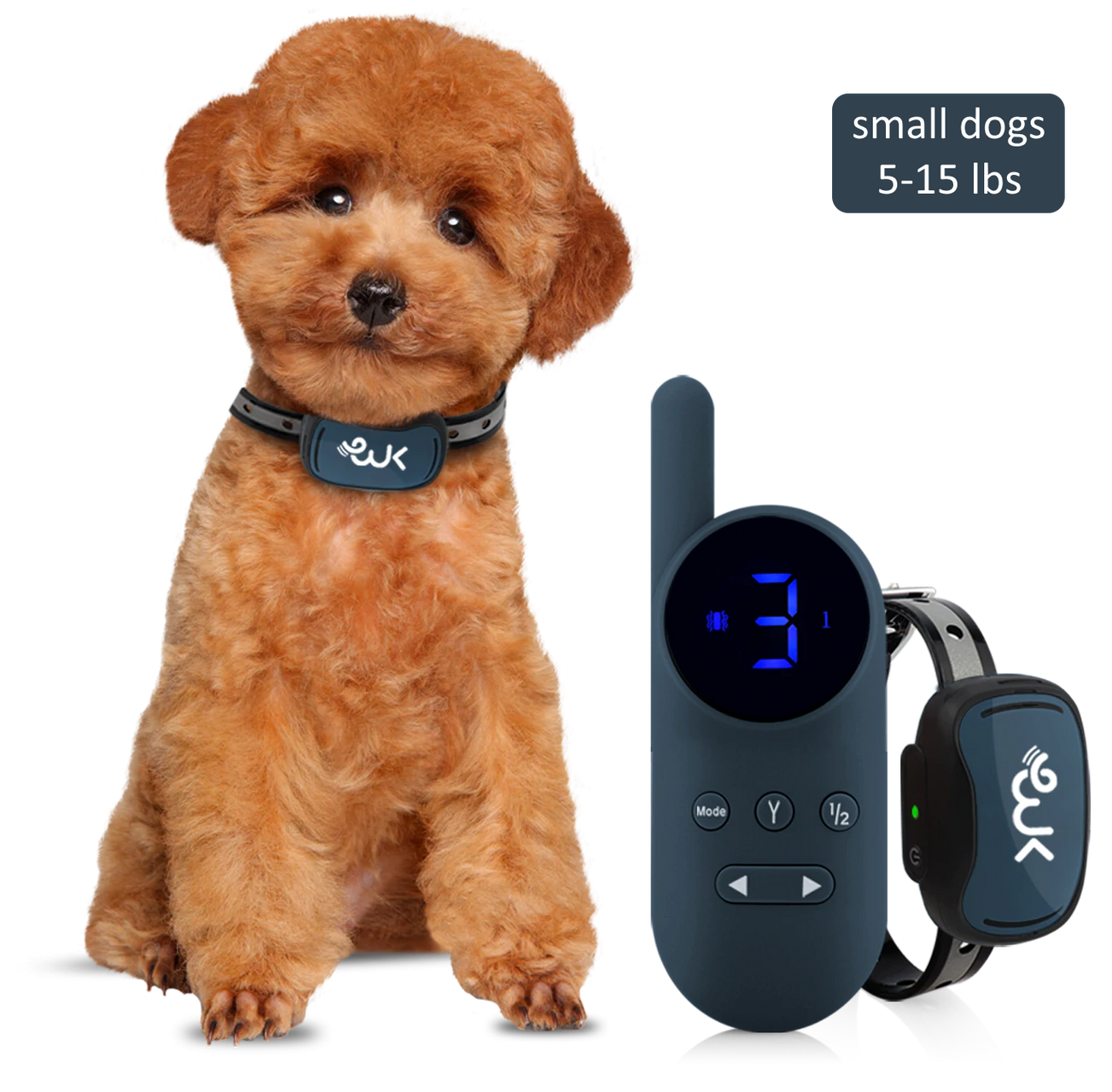 Training Collar for Small Dogs e Collar with Remote for Puppies