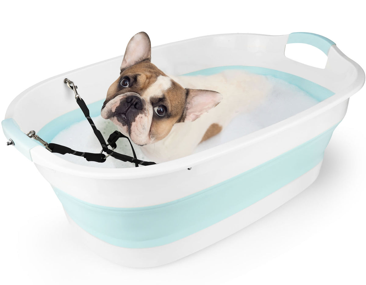 Small deals dog bath