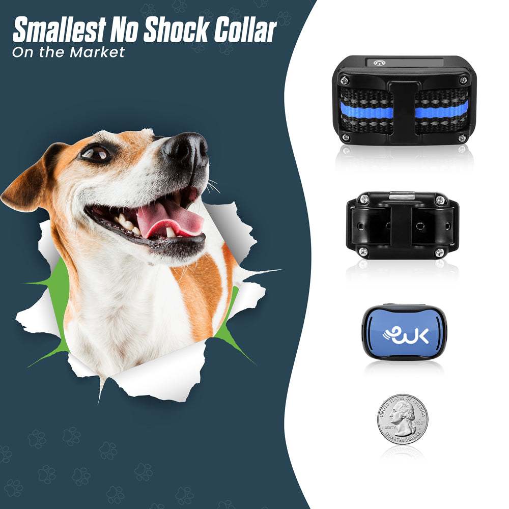No Shock Dog Collar for Small Dogs - Vibration & Sound Only - A Vibrat | Wiggle Kingdom No Shock Dog Collar for Small Dogs - Vibration & Sound Only - A Vibrat | Wiggle Kingdom