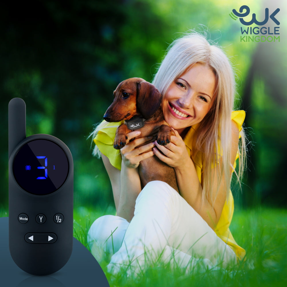 Shock Collar for Small Dogs | Best Shock Collar with Remote for Biting & Barking Puppies | Wiggle Kingdom Shock Collar for Small Dogs | Best Shock Collar with Remote for Biting & Barking Puppies | Wiggle Kingdom