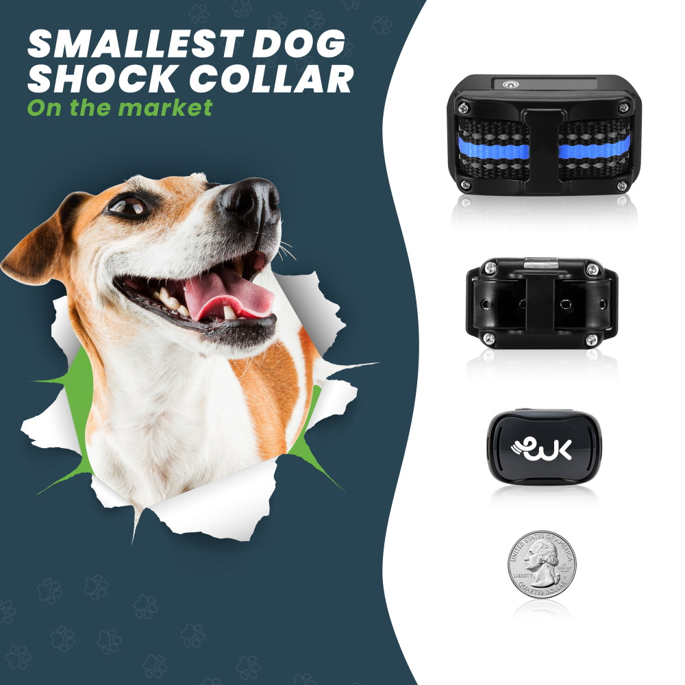 Shock Collar For Small Dogs Best