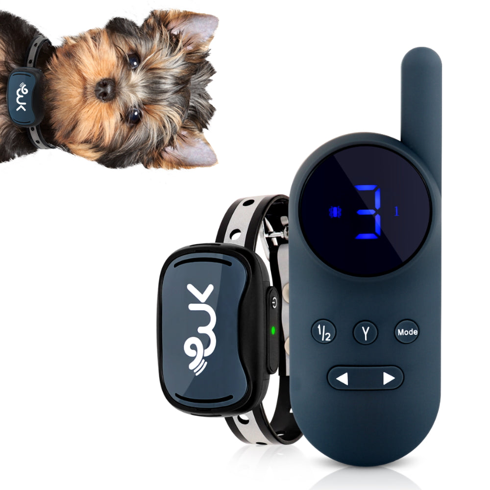 Shock Collar for Small Dogs | Best Shock Collar with Remote for Biting & Barking Puppies | Kingdom